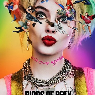 bird-of-prey bird-of-prey