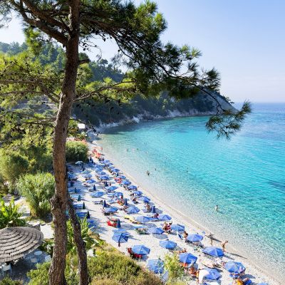 samos 1600 samos 1600